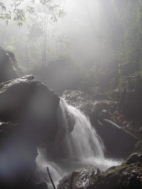 Cave Entrance